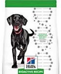 Hills Bioactive Recipe Fit + Radiant Chicken and Barley Adult Large Breed Dry Dog Food
